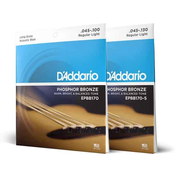 D’Addario PHOSPHOR BRONZE Acoustic Bass