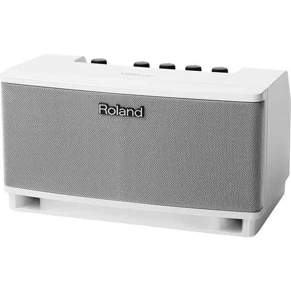 Roland CUBE Lite MONITOR Monitor Amplifier