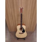 Motion M310 Acoustic Guitar