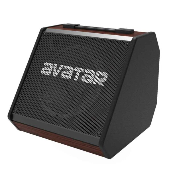 Avatar DM30 Personal Monitor Amplifier