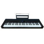 Donner SD-20 Portable Piano Keyboard